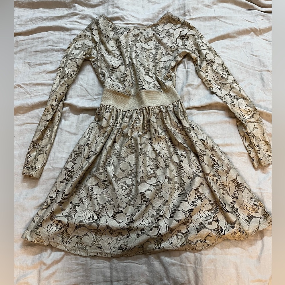 Zara Crème Net Lace Dress - Picture 2 of 12